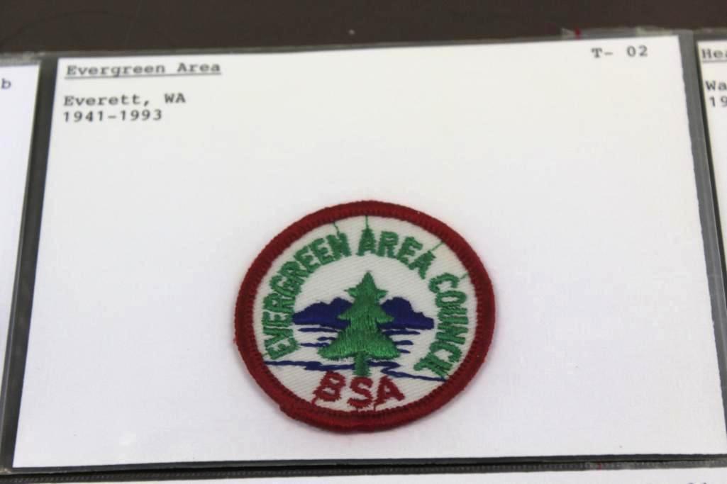 10 Small BSA Council Patches