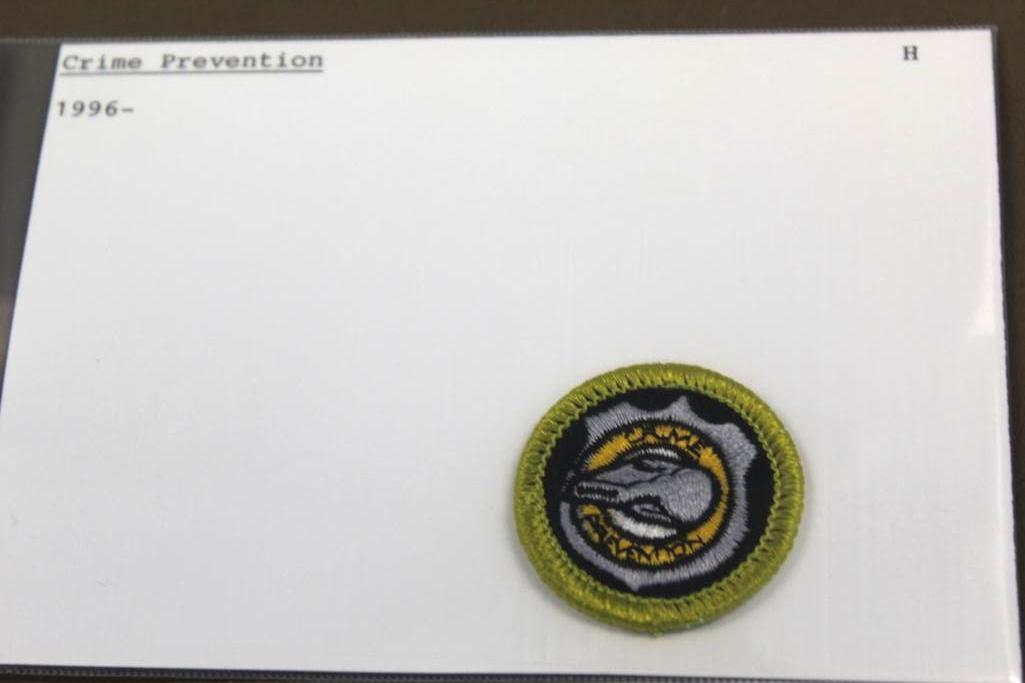 20 Mixed BSA Merit Badges