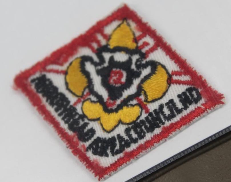 15 Mixed Diamond-Shaped BSA Patches