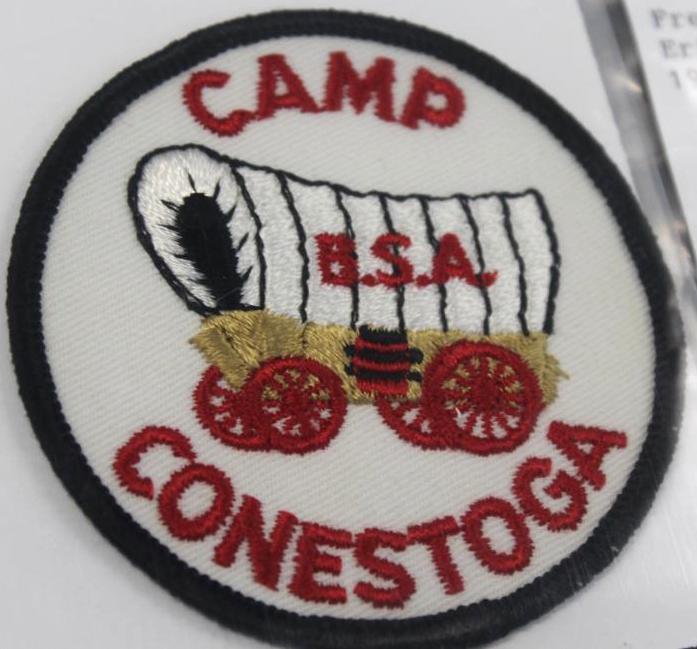 8 Mixed BSA Regional Camp and Council Patches