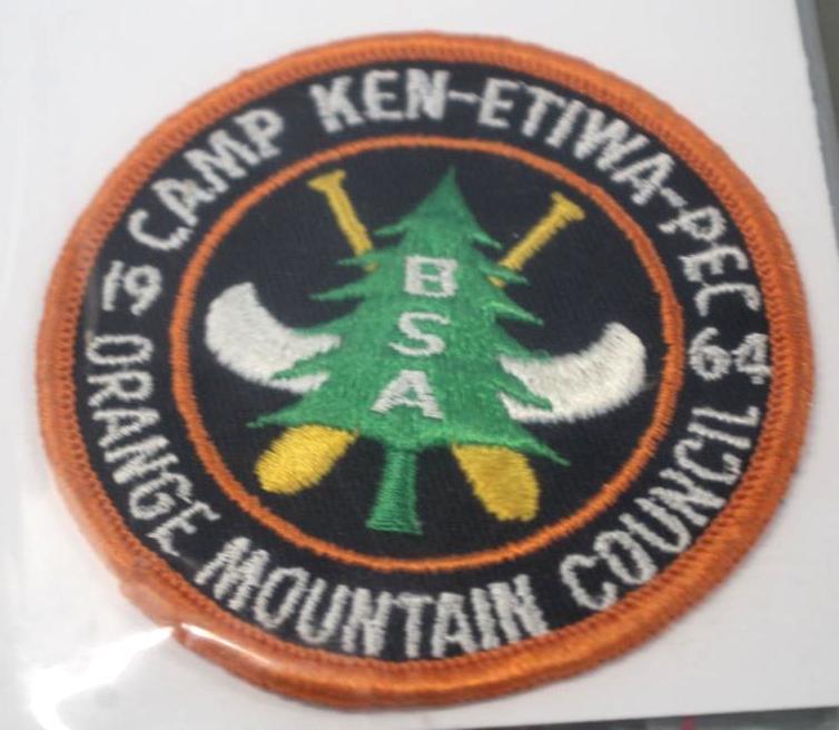 12 Vintage BSA Camp Patches and Pin