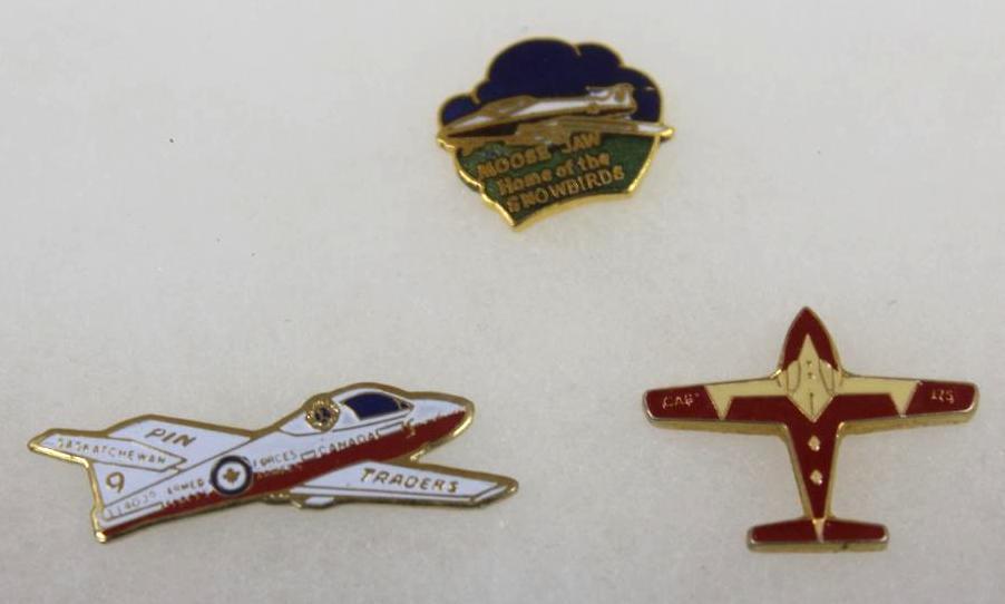 Mixed Airline and Snow Birds Pins in Display Case