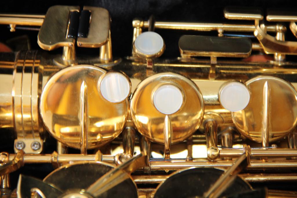 Excellent Nuova Model NAS-3 Alto Saxophone in Zip Case