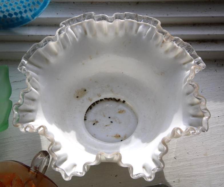 Gorgeous Assortment of Collectible Glass