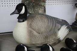 12 Canadian Goose Decoys and Mesh Sack