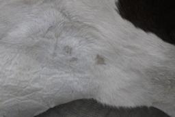 Auburn and White Spotted Cow Hide