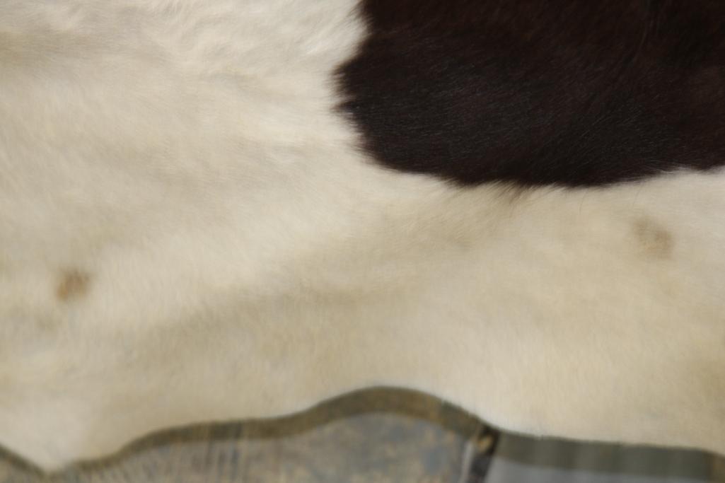Auburn and White Spotted Cow Hide