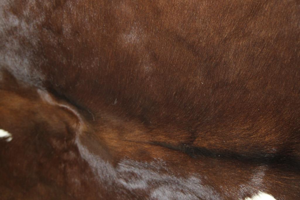 Auburn and White Spotted Cow Hide