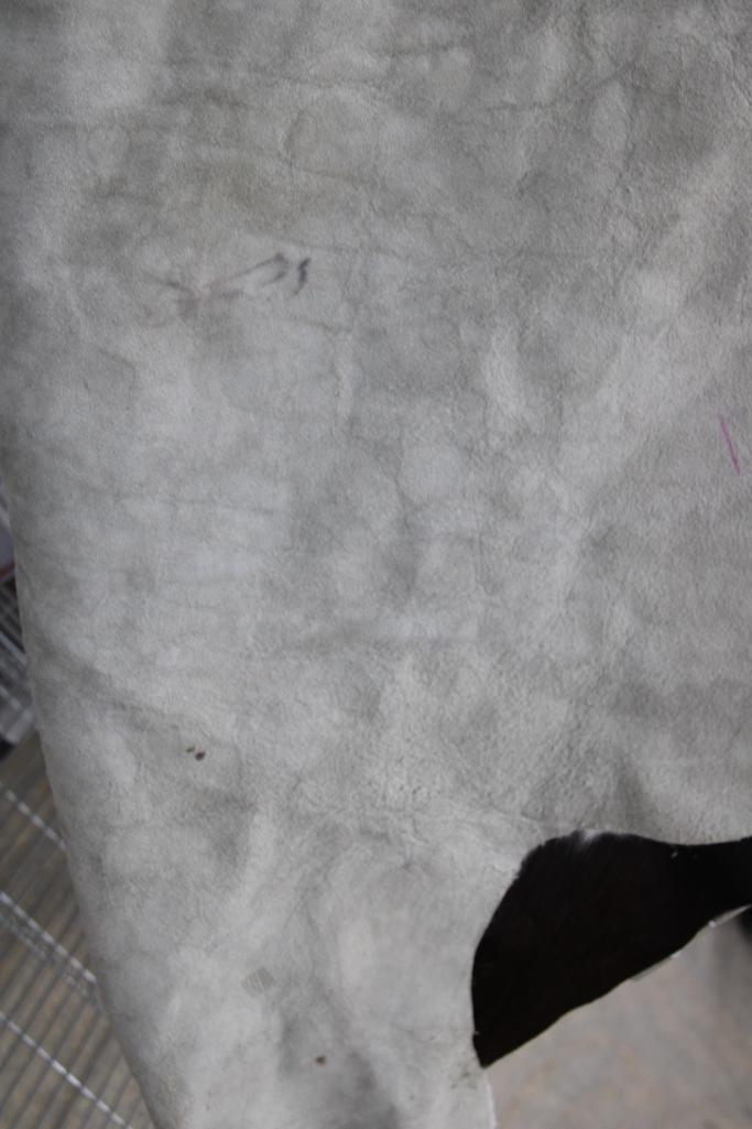 Auburn and White Spotted Cow Hide