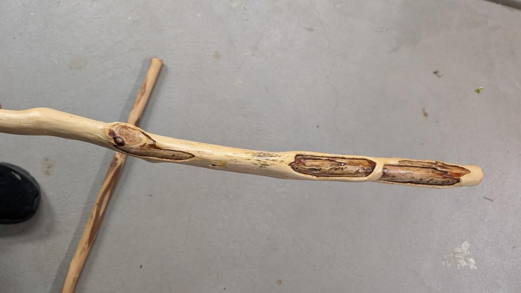 Walking Sticks