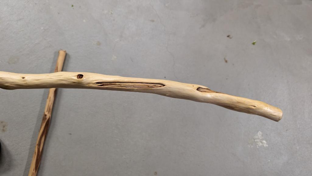 Walking Sticks