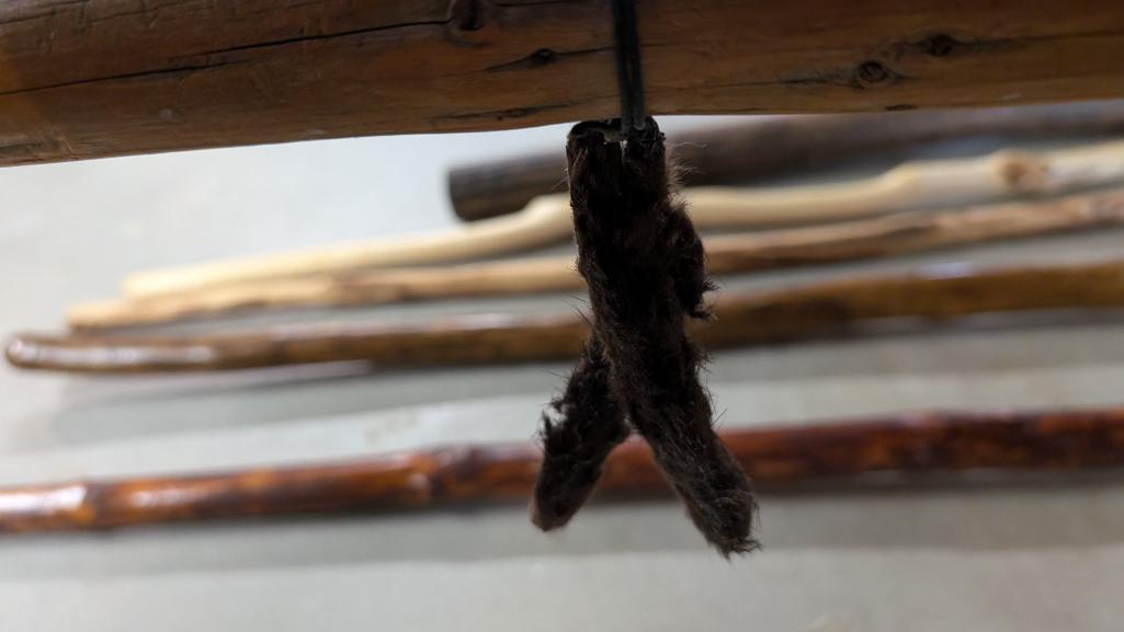 Walking Sticks