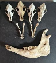 Bones Brigade