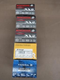 20 Gauge Shotgun Ammunition