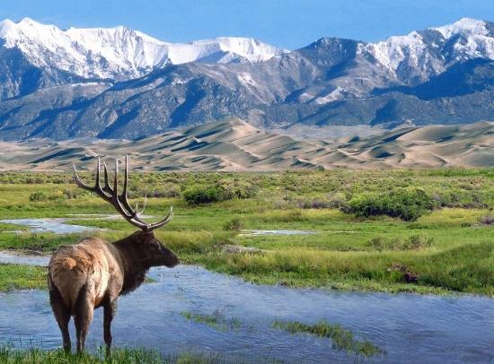 June Field & Stream I 2025