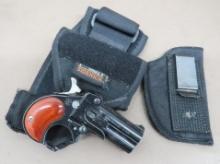 Davis Industries DM-22 WMR, Pistol, SN 416406