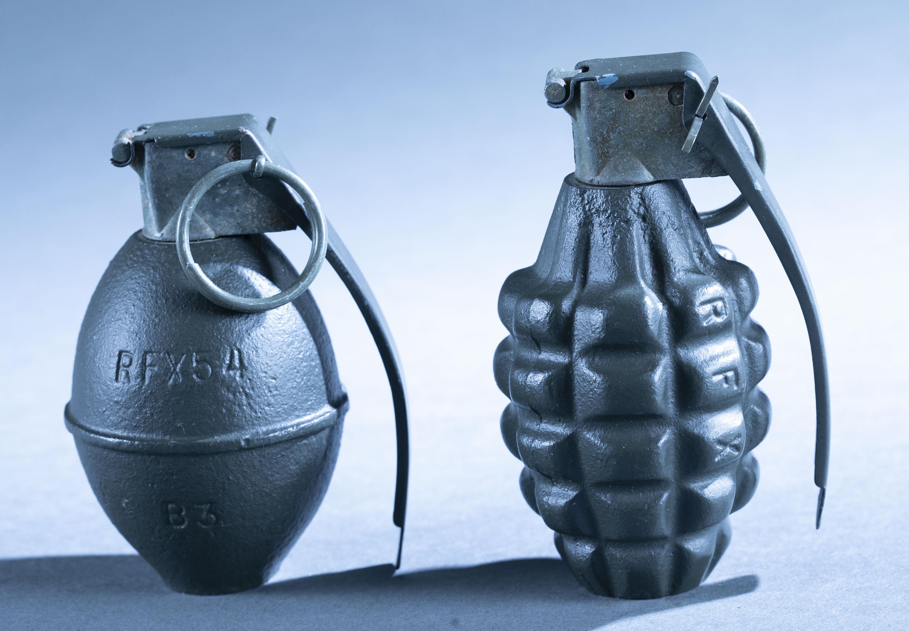 2 U.S. inert training grenades