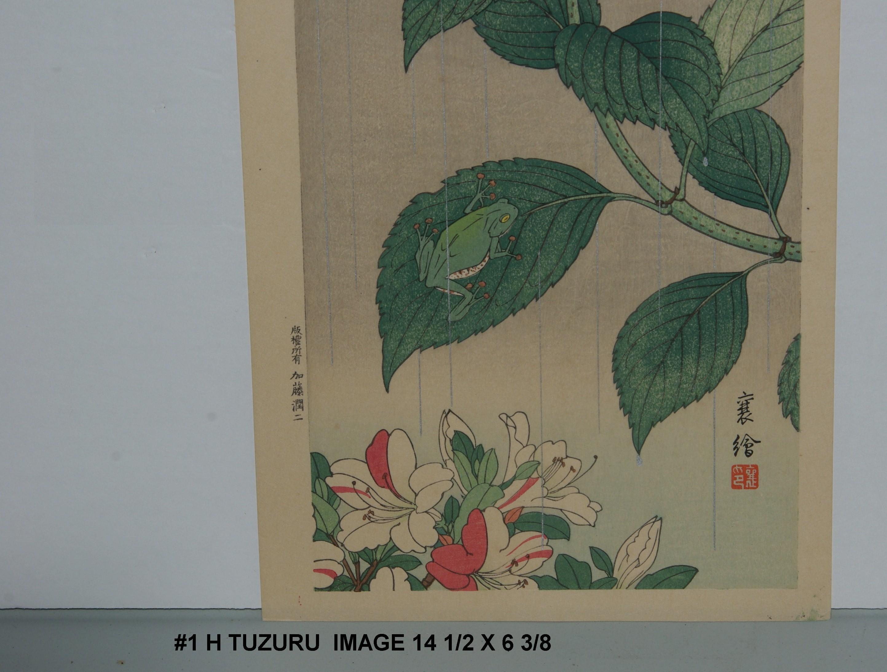 Hashimoto Tuzuru (Jo): Treefrog and Hydrangea 1930