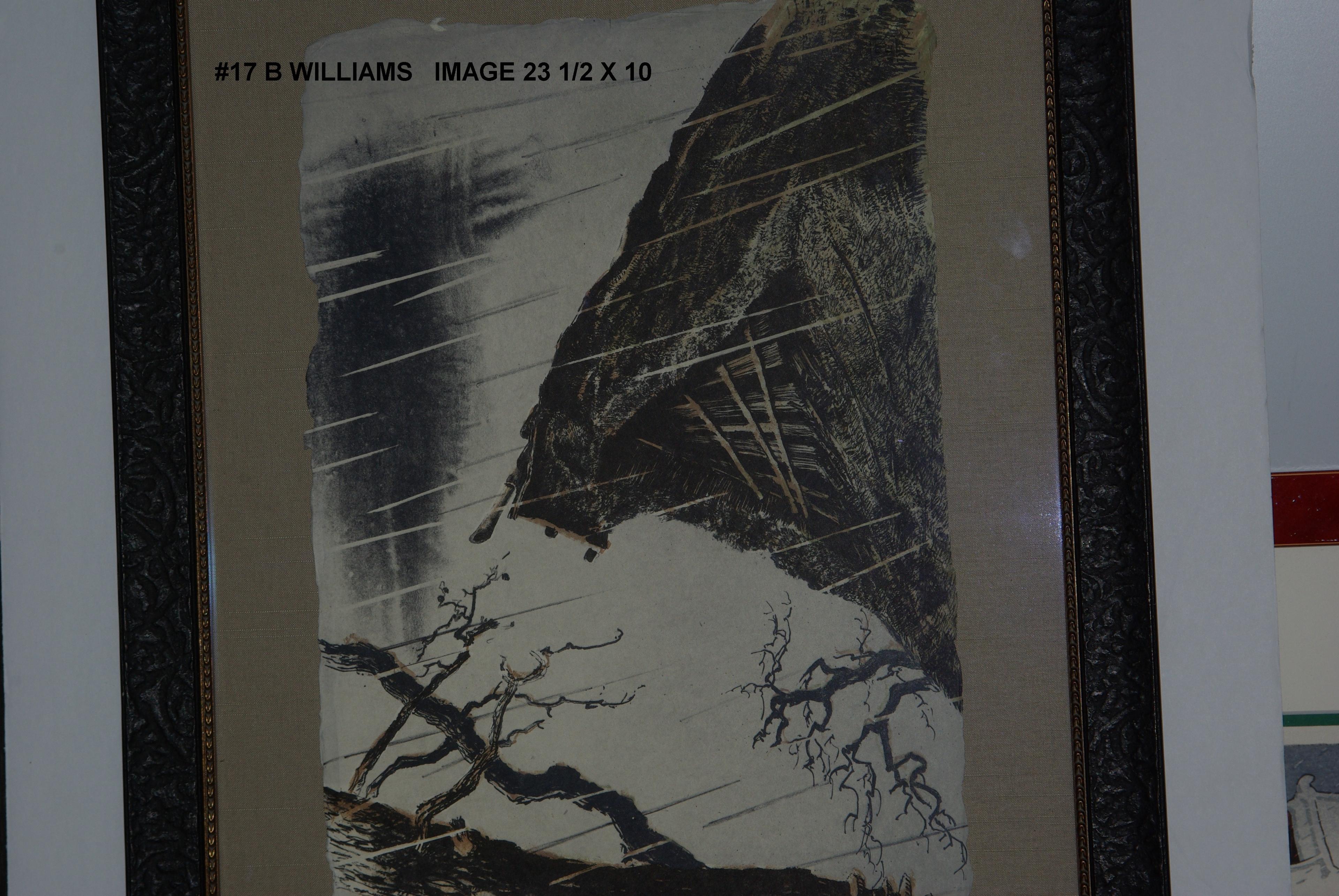 Brian Williams: Downpour