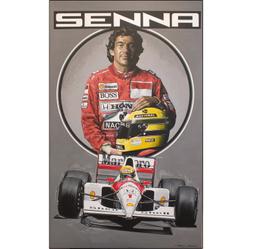 Ayrton Senna by Tony Upson.