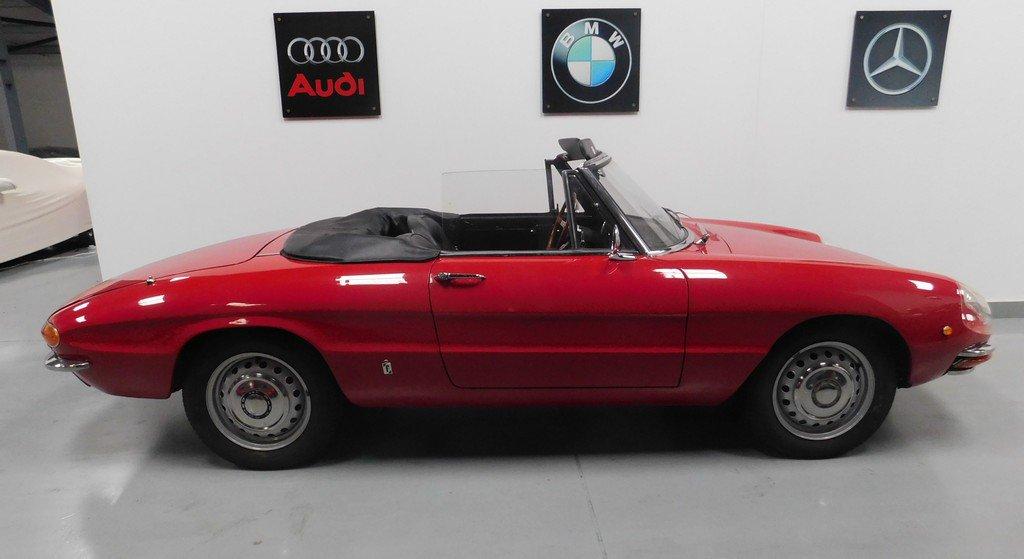 1968 Alfa Romeo Duetto Spider