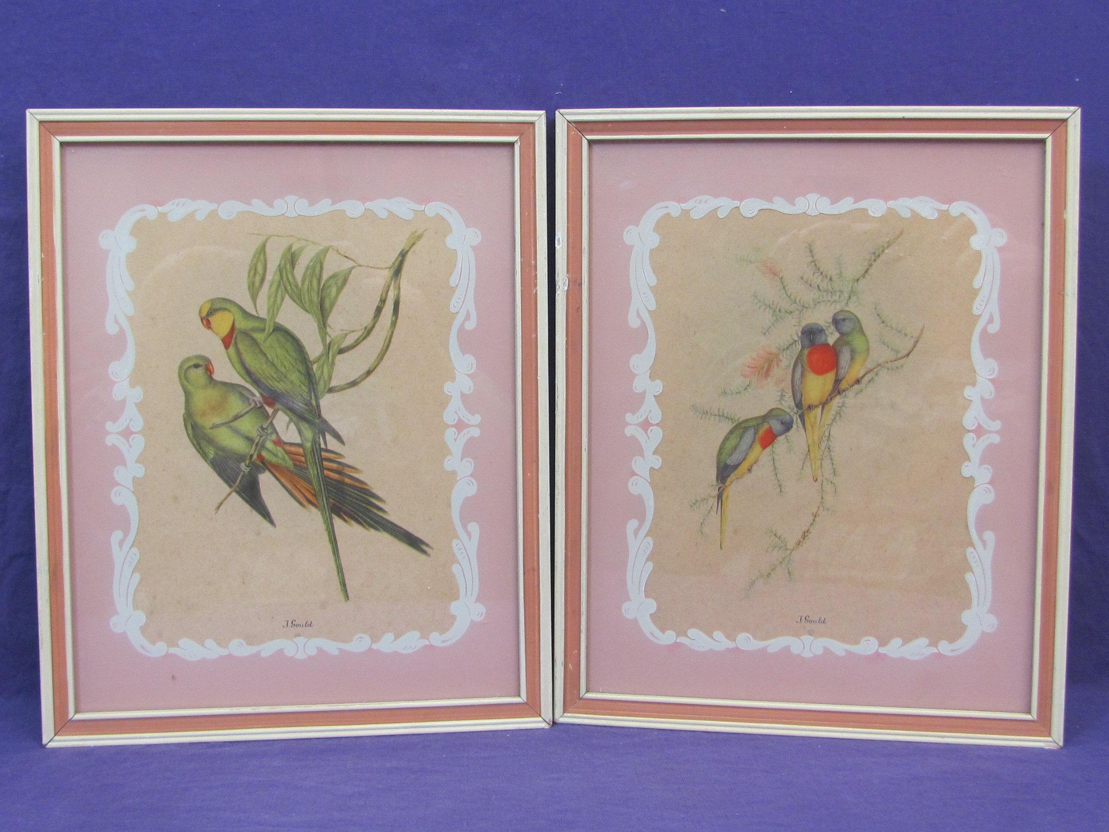 2 Framed Bird Prints by John Gould – Glass is Reverse Painted – Wood Frames are 10 3/4” x 8 3/4”