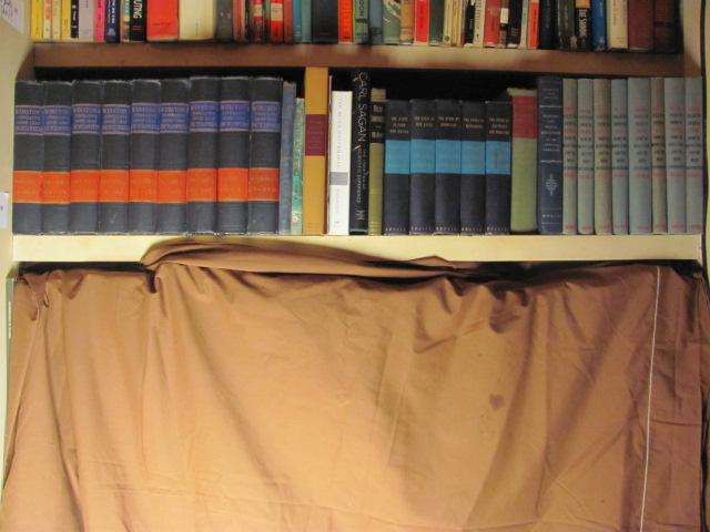 All Books On Shelf – As Shown