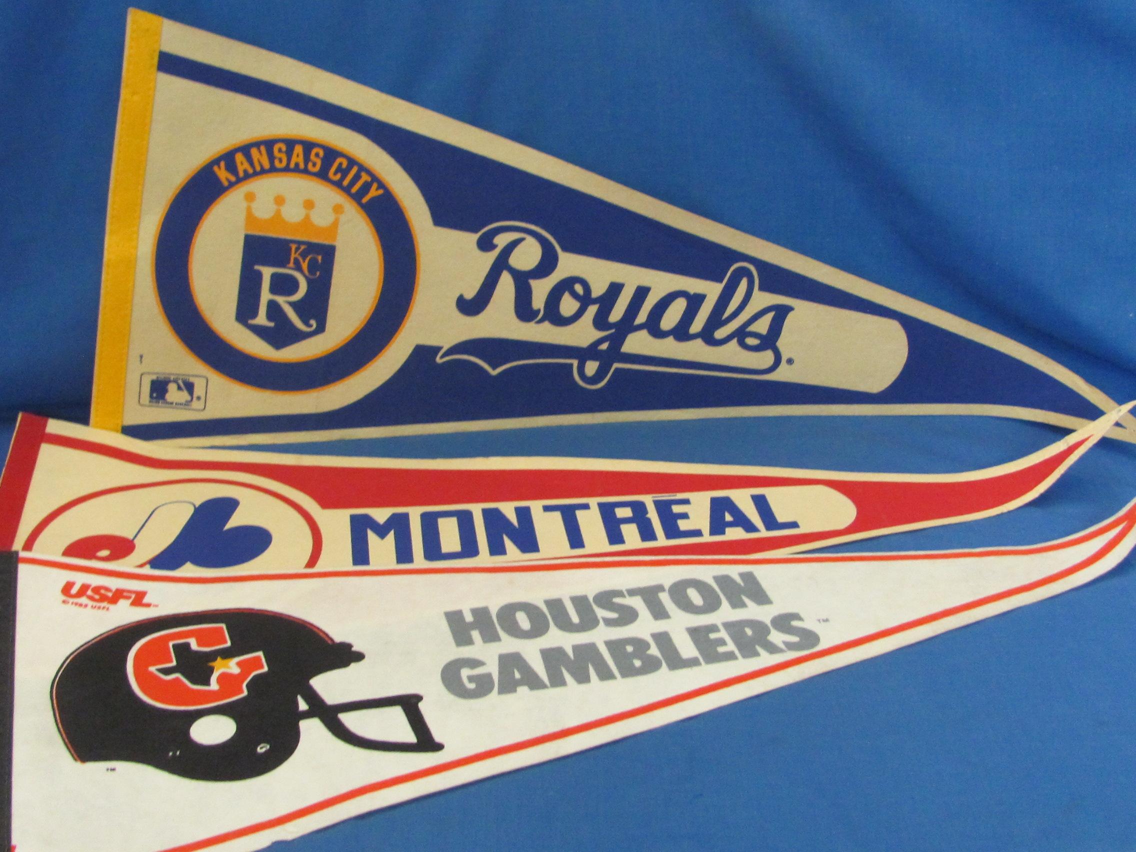 Sports & Souvenir Pennants (40) – 91 Twins – 91 Northstars – Strikers – Royals & Others