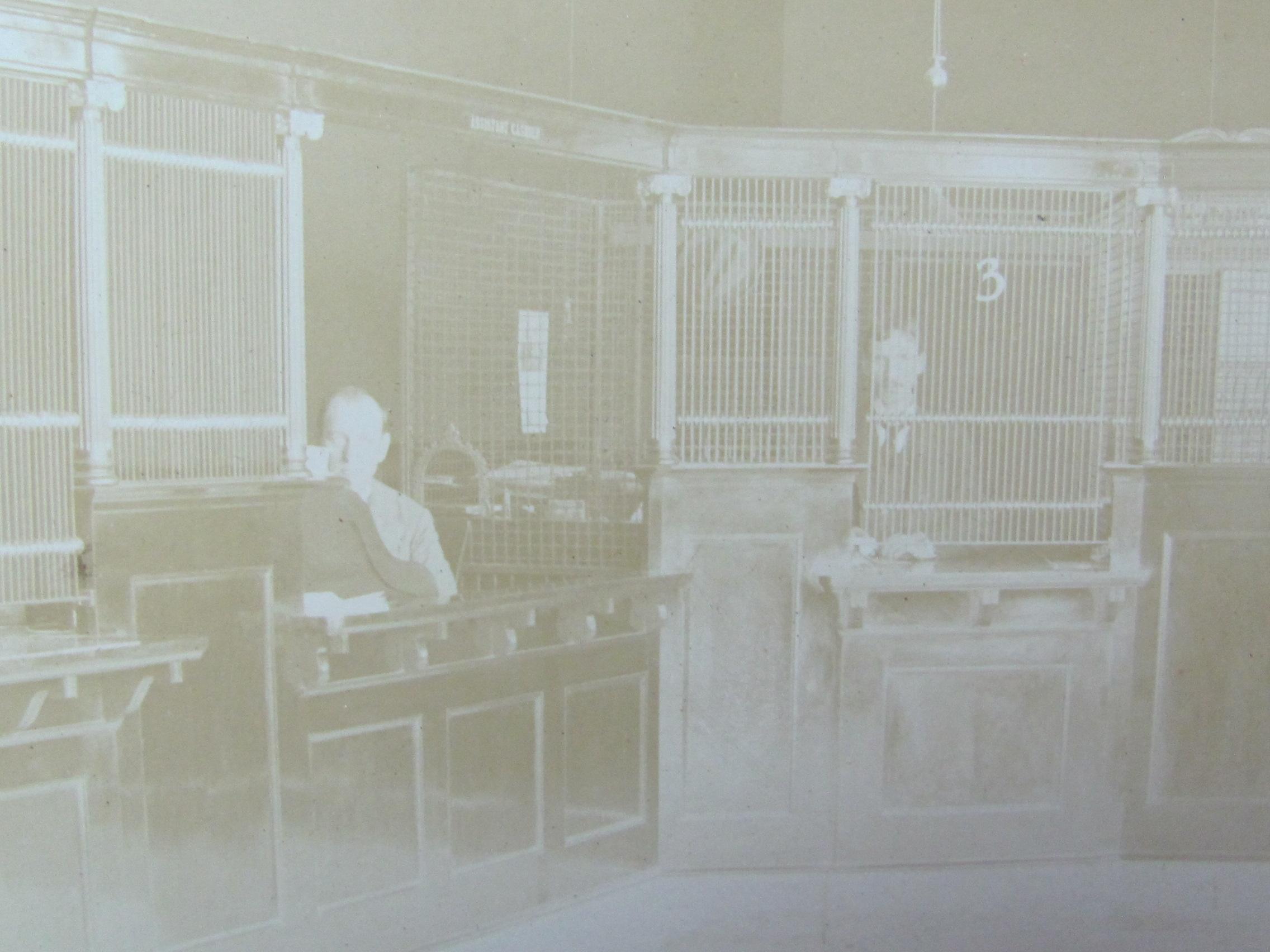 Matted Sepia Photographs – Interior of a Bank with Tellers in Cages – Mat is 22 3/4” long