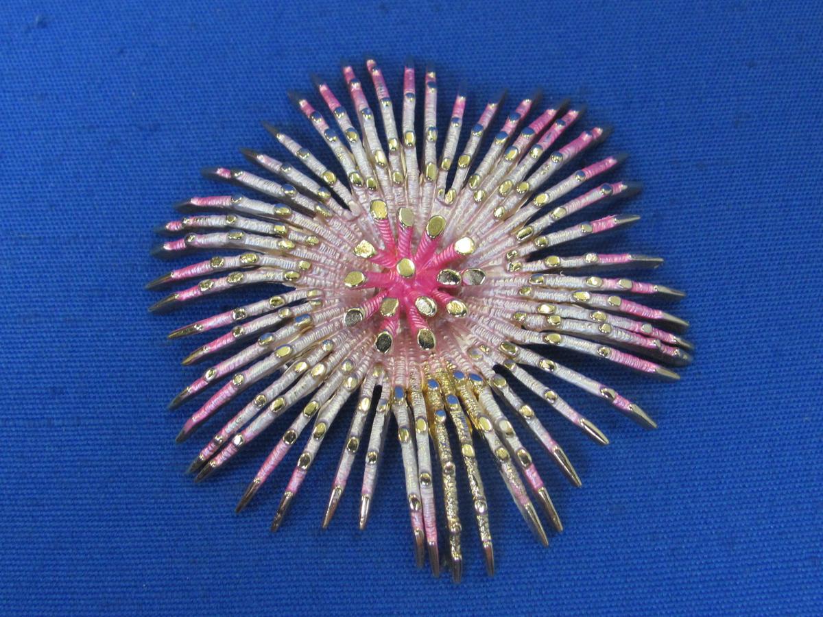 Large Sunburst Pin/Brooch in Gold, White & Pink – Unsigned – 3” in diameter