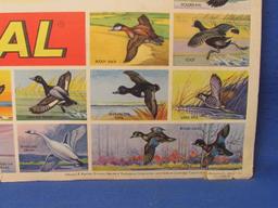 Vintage Cardboard Sign – Federal Shot Shells – Wildfowl of North America – 20 1/4” x 17 7/8”