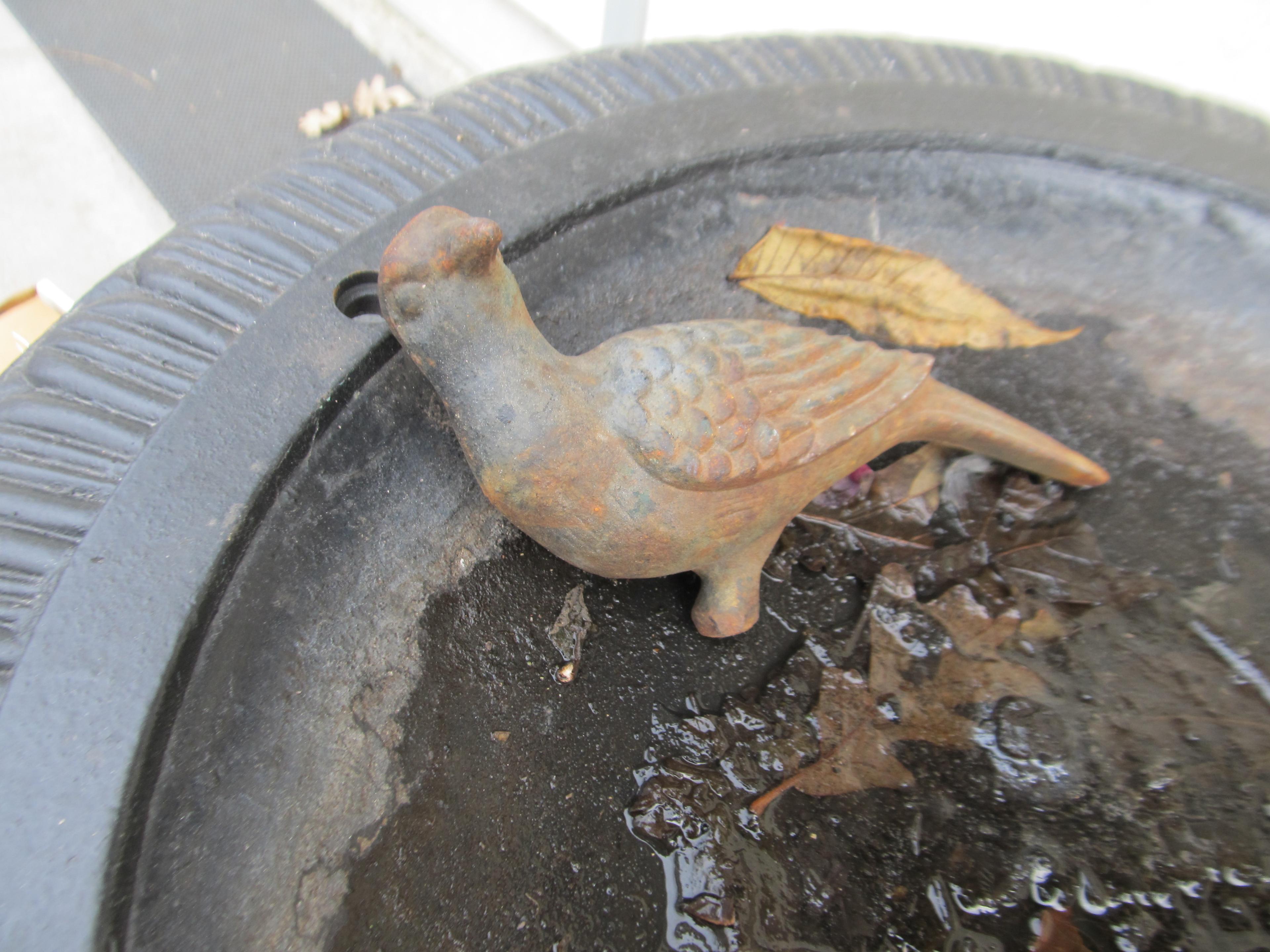 Wrought iron bird bath