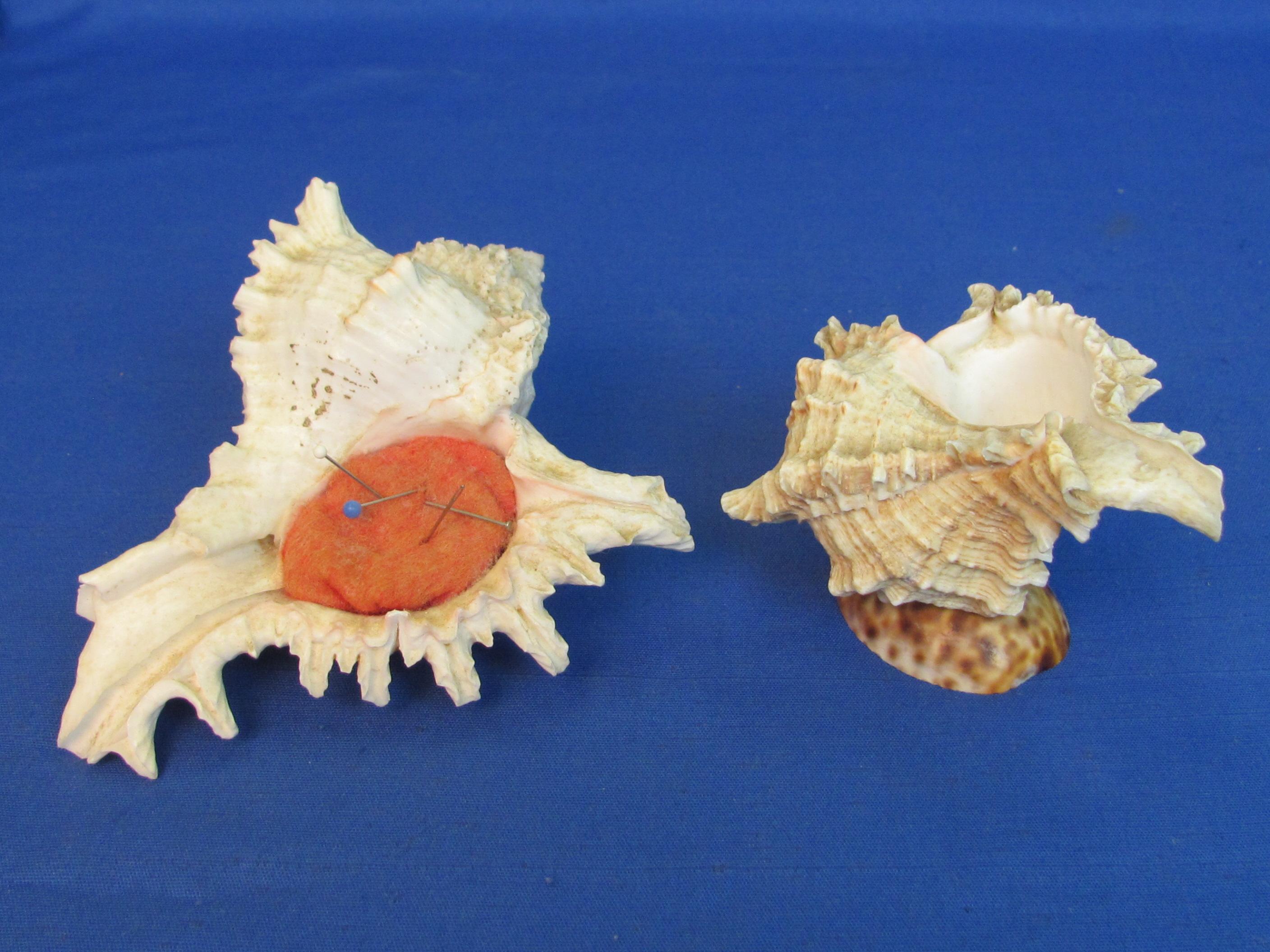 2 Sea Shells – 1 made into a Pin Cushion (About 5” long)