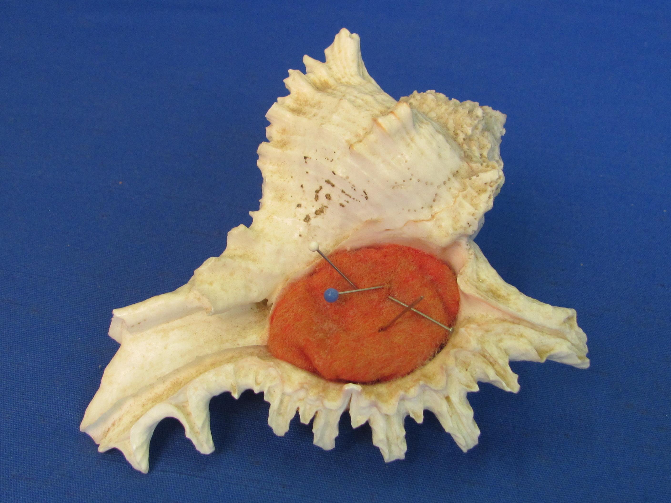 2 Sea Shells – 1 made into a Pin Cushion (About 5” long)