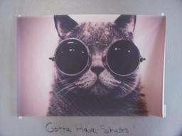 “Cool Cat” poster 35 1/4” x 23 1/2” -vinyl plastic type material