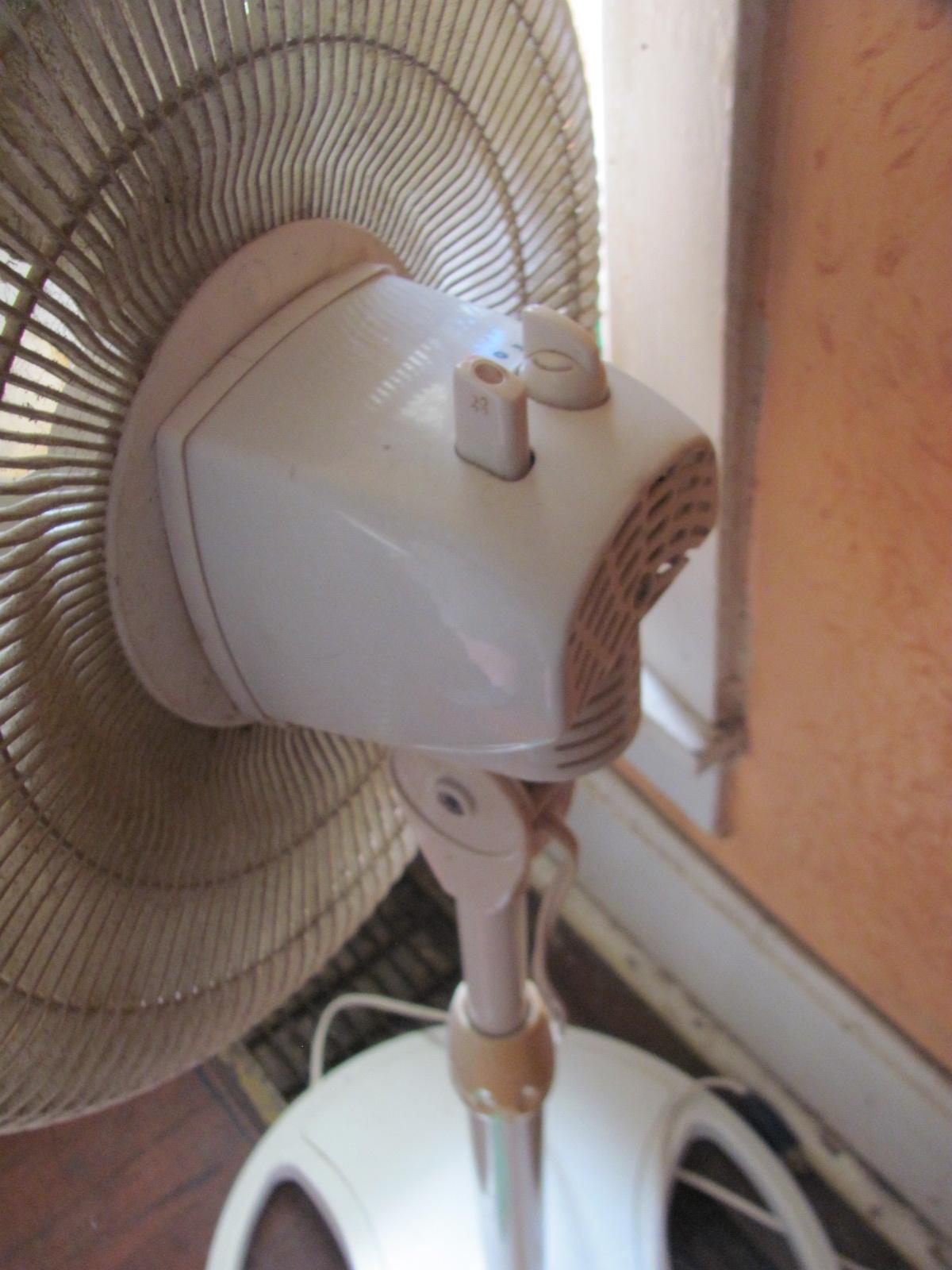 Lasko Oscillating Fan White Plastic 3 speed 38” T – needs cleaning