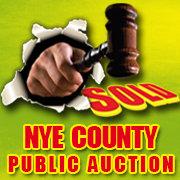 Nye County Public Auction