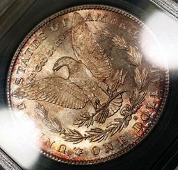 1881-S Morgan Silver Dollar -NEON TONED