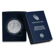 Burnished 2014-W Silver Eagle Original Mint Box