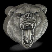 Fierce Nature - Grizzly Bear 2oz Silver Coin