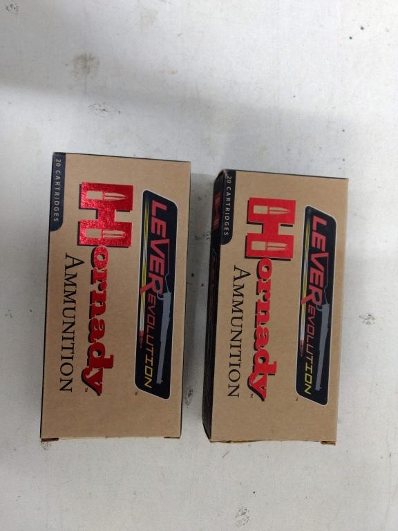 2-20 Rnd Box Hornady 45-70 Gov't 250gr Monoflex