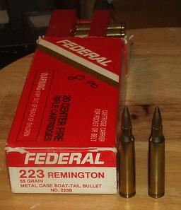 20 Rounds Federal 223 Remington
