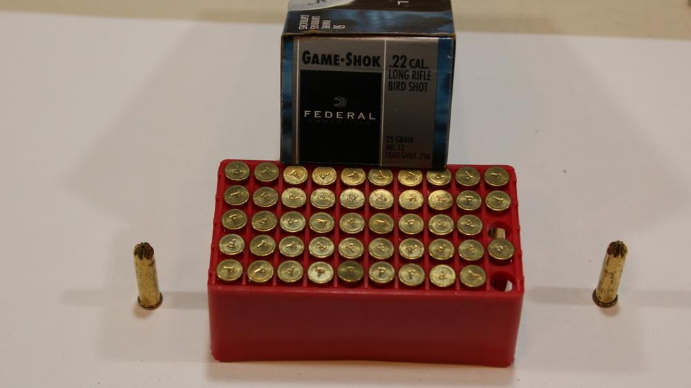 50 rnds 22lr birdshot