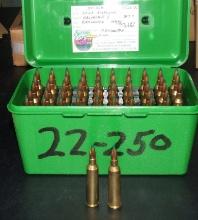 50 Rounds 22-250