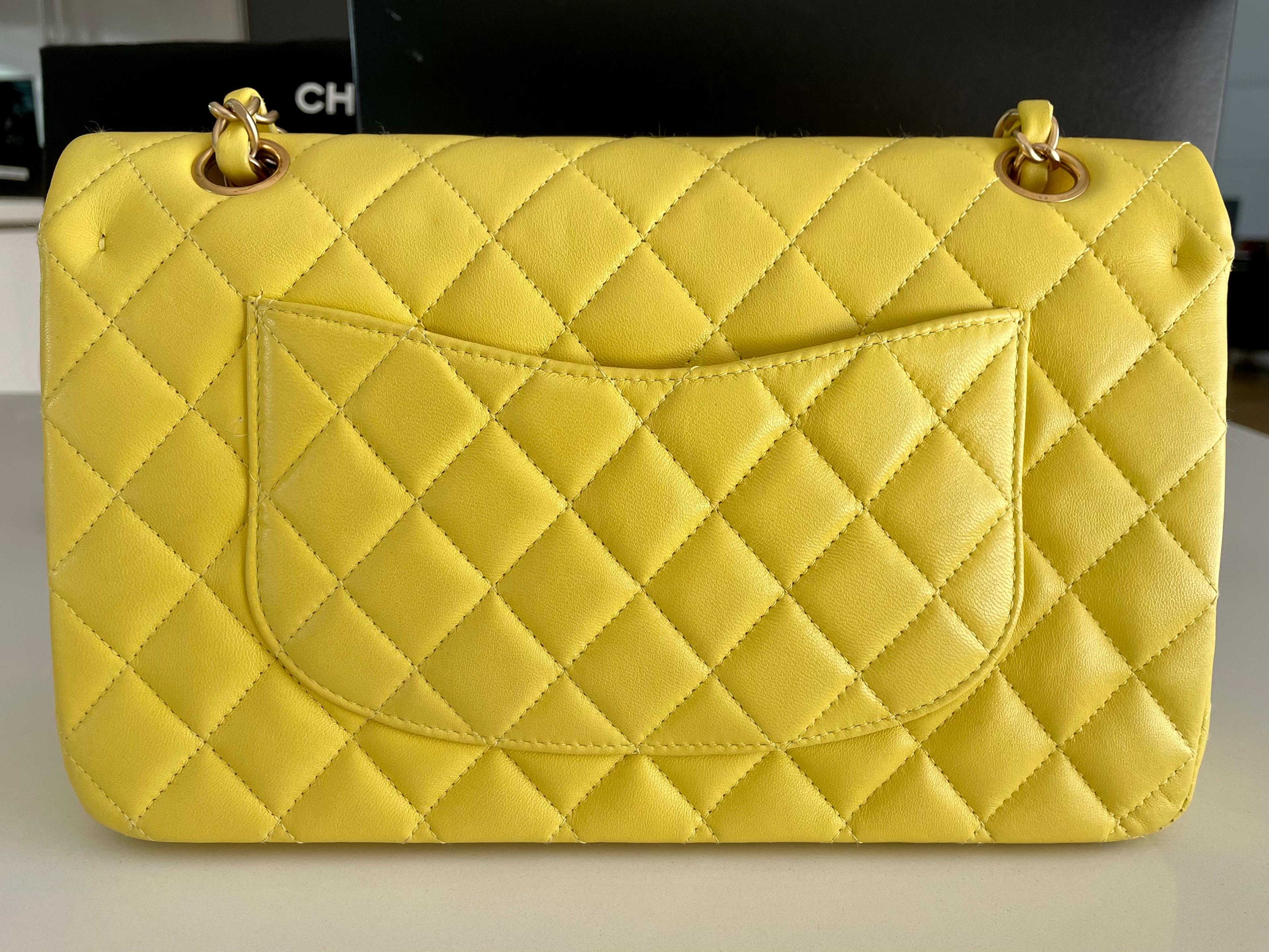 Classic Chanel Medium Double Flap Bag