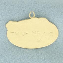 Uf Florida Gators Charm Or Pendant In 14k Yellow Gold