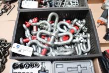 Assortment 7/8" D-ring shackle