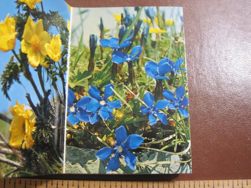 5 small souvenir photo booklets of Switzerland, the Swiss Alps and Alpine flowers
