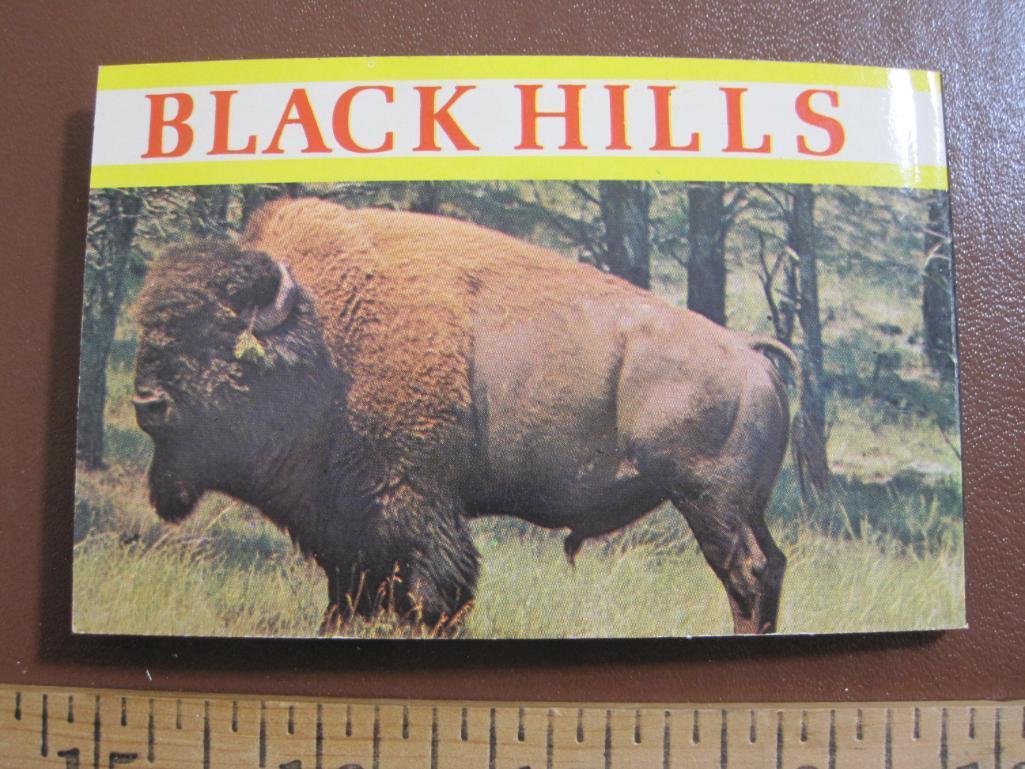 Four small South Dakota souvenir photo booklets (two on Badlands, one of the Black Hills and one of