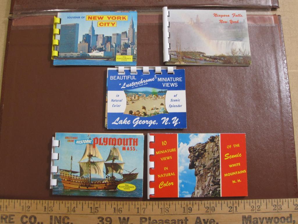 Five small souvenir photo booklets: Lake George, New York City, Niagara Falls, the White Mountains